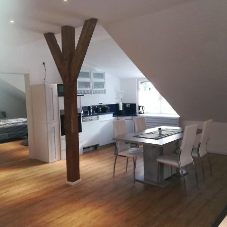Diti Apartment Lottstetten 外观 照片
