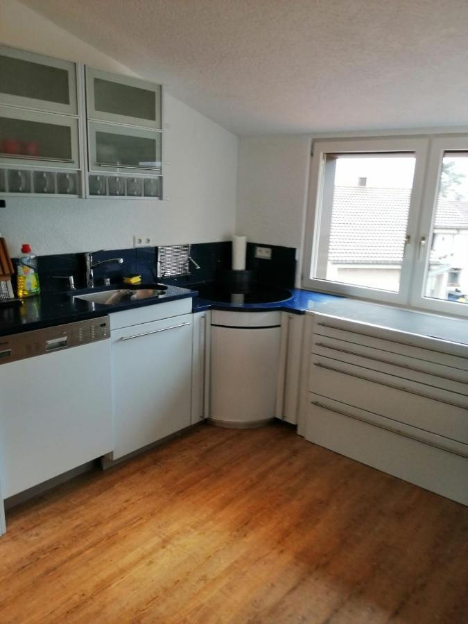Diti Apartment Lottstetten 外观 照片